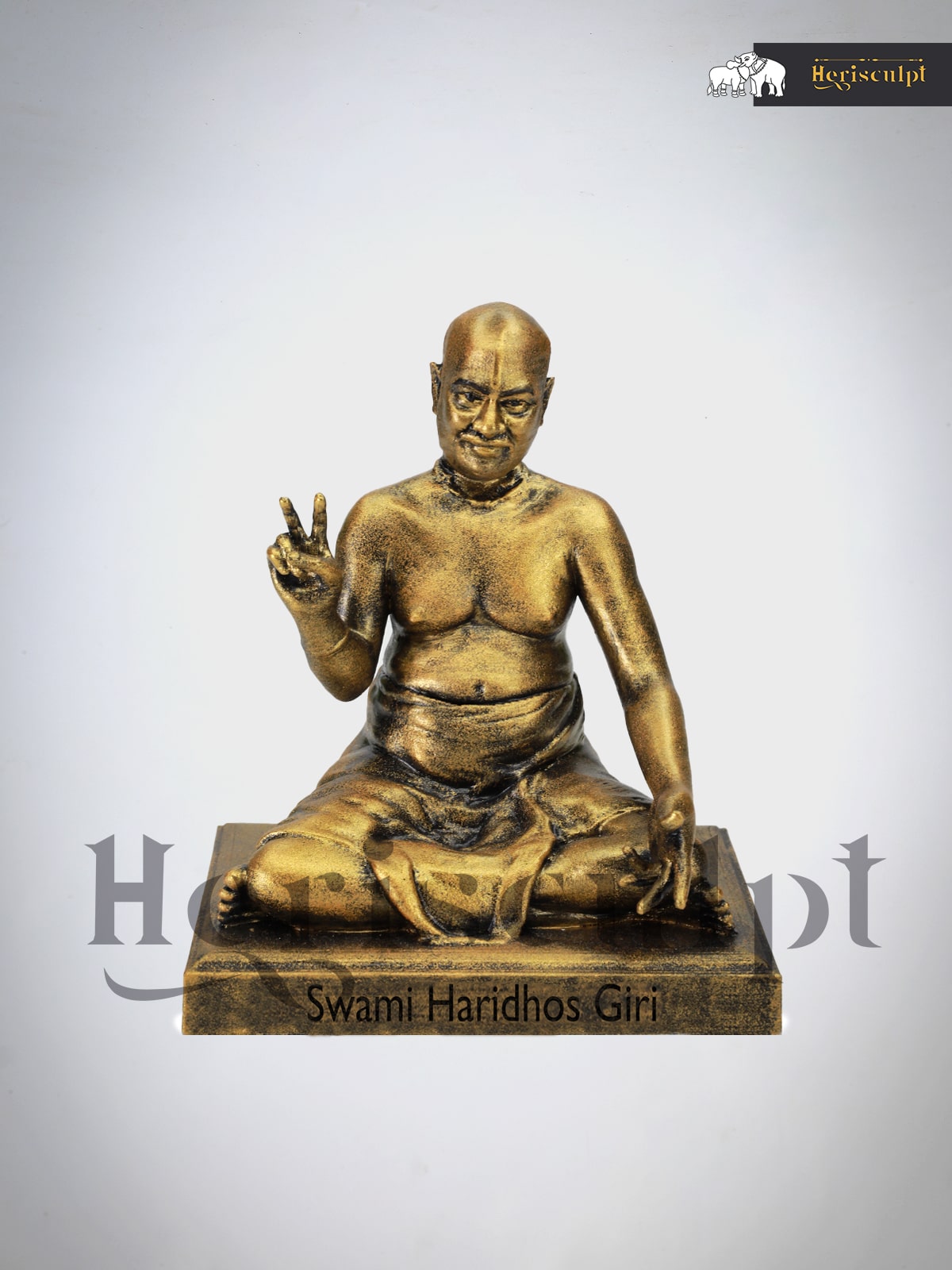 Guiding Light: The Spiritual Journey of Swami Haridhos Giri